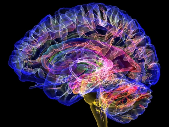 操老比视频色网大脑植入物有助于严重头部损伤恢复
